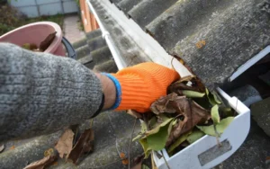 protect your roof with gutter inspections