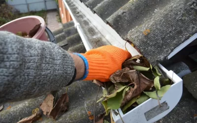 Protect Your Roof With Gutter Inspections
