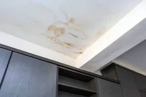 signs of a leaking roof