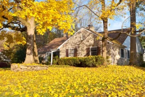 fall roof maintenance